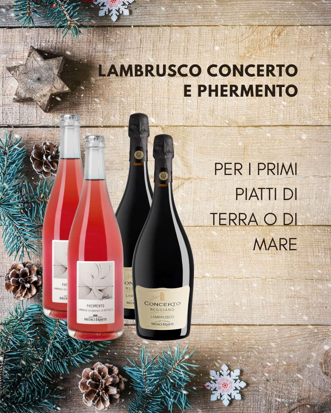 Il Pranzo Perfetto | Selezione Sommelier (12 Bottiglie)