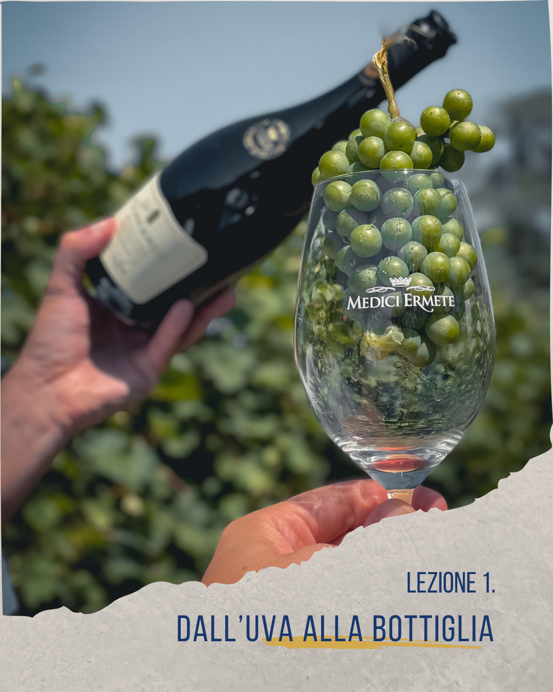 MEDICI ERMETE ACADEMY