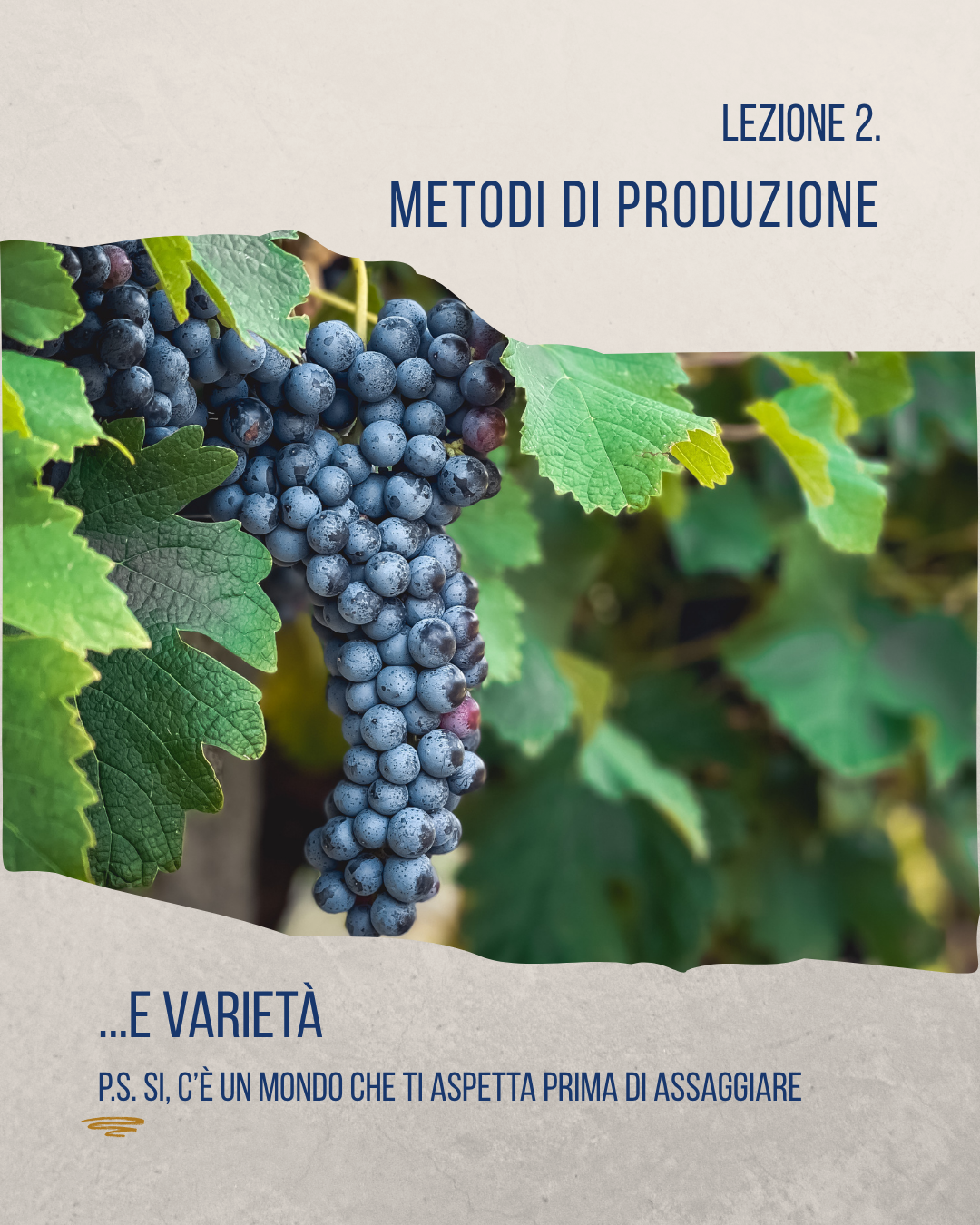 MEDICI ERMETE ACADEMY